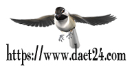 76cdd6f5233e9406b74a222d3ed13656_1792813510_0214.jpg